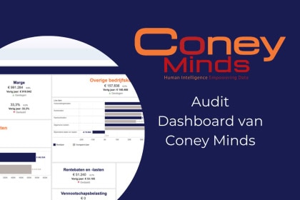 Audit Dashboard van Coney Minds