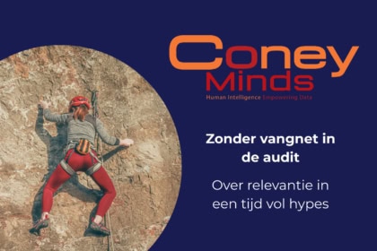 Zonder vangnet in de audit: over relevantie in een tijd vol hypes