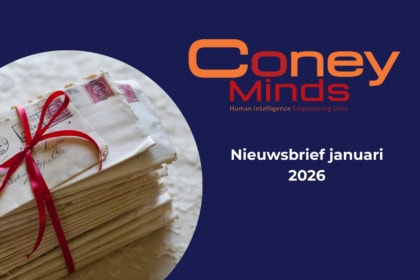 Nieuwsbrief Januari 2026 – Audit Like It’s Hot