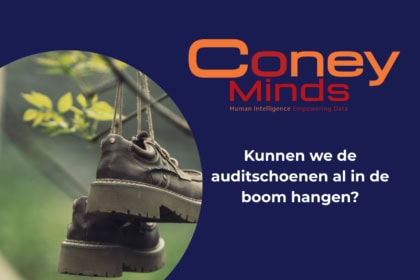 Kunnen we de auditschoenen al in de boom hangen?